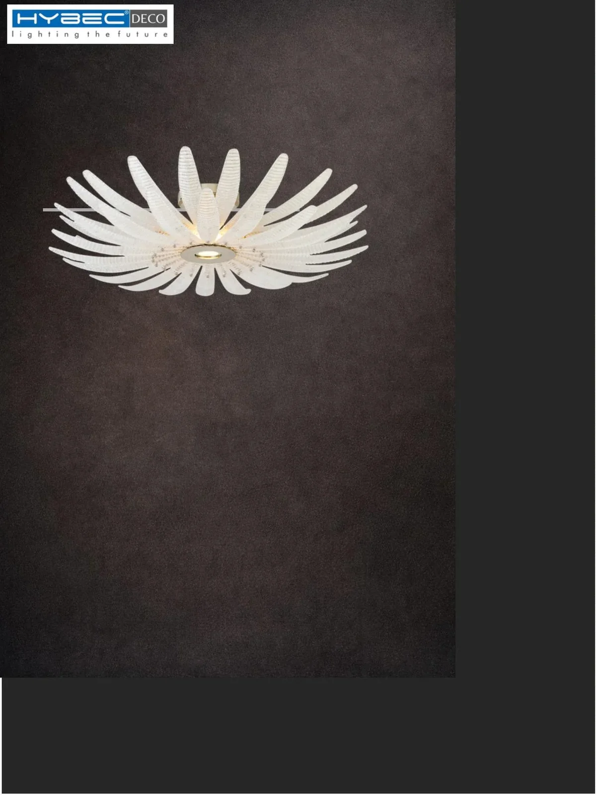 LuminaAbstract Ceiling Lights