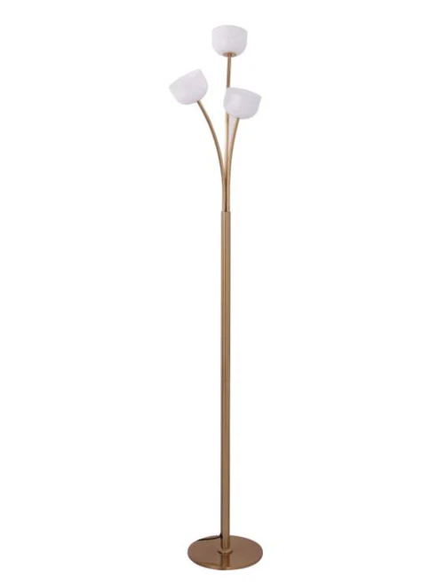Antique Copper LED Floor Lamp – 15W